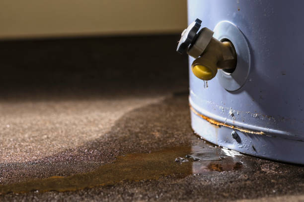 Best Water damage cleanup near me  in Chena Ridge, AK