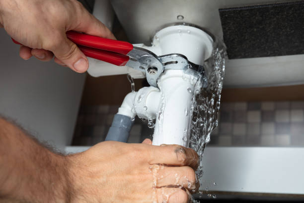 Best Flood damage cleanup  in Chena Ridge, AK