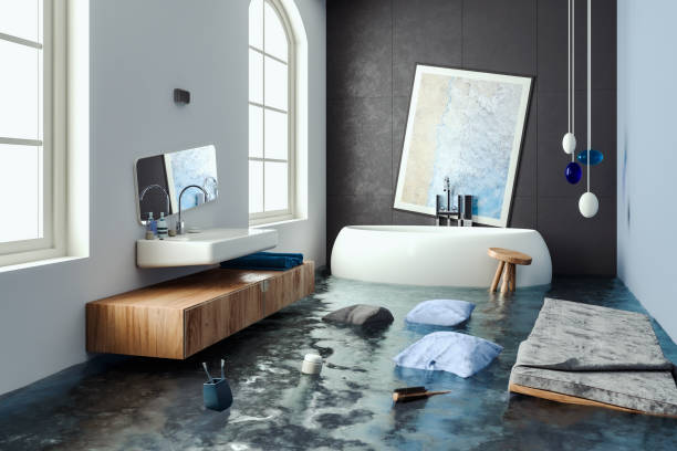 Professional Water damage restoration in Chena Ridge, AK