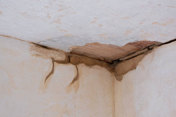Best 24-hour water damage restoration  in Chena Ridge, AK