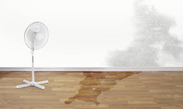 Best Ceiling water damage repair  in Chena Ridge, AK