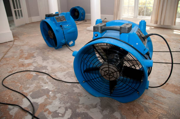Best Water damage restoration near me  in Chena Ridge, AK
