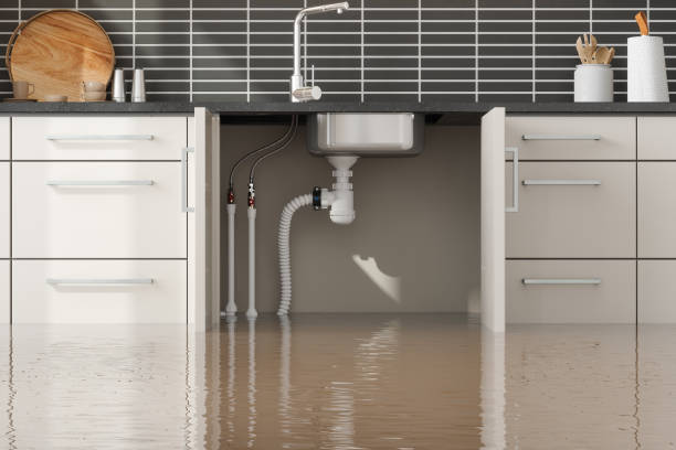 Best Water damage contractors near me  in Chena Ridge, AK